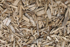 biomass boilers Hammerwich